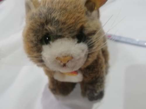 Steiff Cat- As per pictures. Has number . Collectable