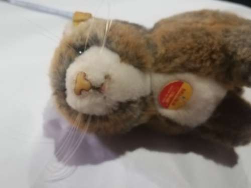 Steiff Cat- As per pictures. Has number . Collectable