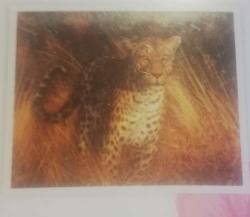 Diamond 5D picture DIY (African Cat)