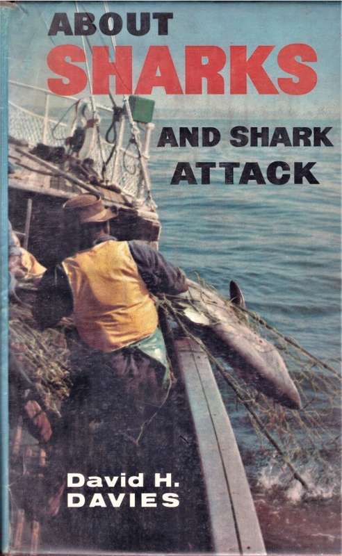 About Sharks and Shark Attacks.