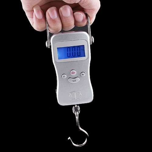 2 in 1 50Kg 20g Digital Scale Electronic Fishing Hook Weight Multirange + Ruler