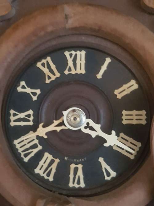 CUCKOO CLOCK  working conditionW37CM  X  H57CM