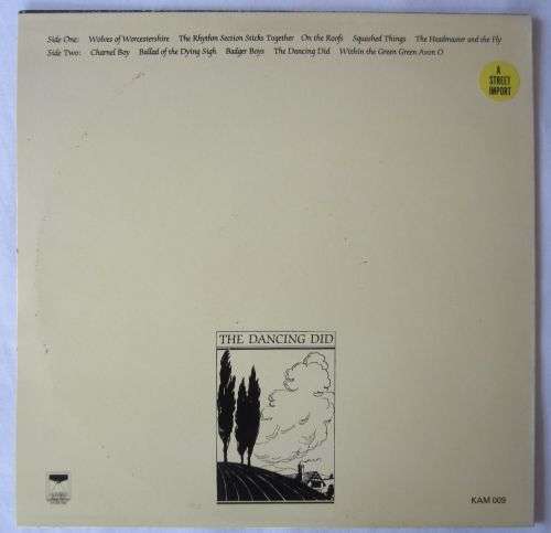 THE DANCING DID - And Did Those Feet - 1982 - KAM 009 -  Vinyl LP Record - VG+ / VG+