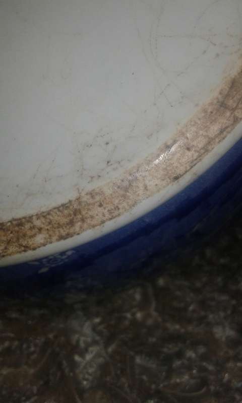 SPODE BLUE ITALIAN