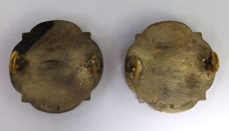 Medical Council of Rhodesia, Silver Nursing Sister Epaulet Pair