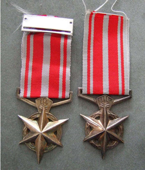 Police Combating Terrorism Medal