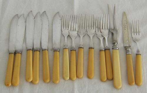 BONE HANDLE FISH SET AND CUTLERY