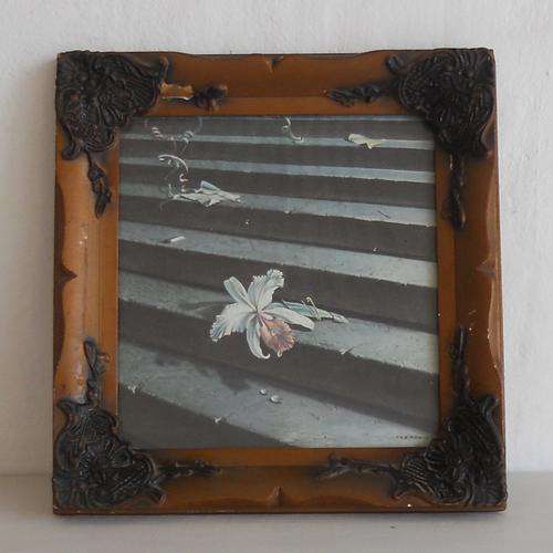 VINTAGE FRAMED TRETCHIKOFF PRINT - LOST ORCHID