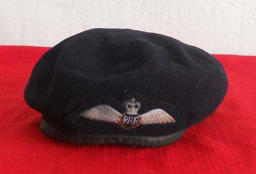 ROYAL AIR FORCE WINGS AND BERET