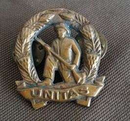 UNITAS COMMANDO BRASS COLLAR BADGE