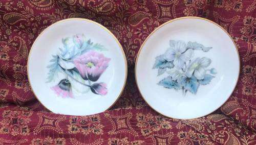 2 ROYAL WORCESTER PIN PLATES