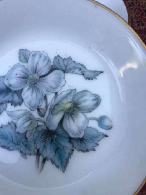 2 ROYAL WORCESTER PIN PLATES