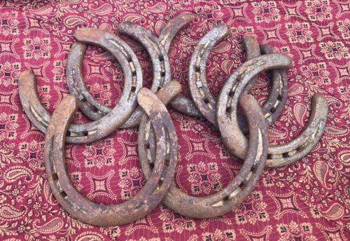 OLD HORSE SHOES