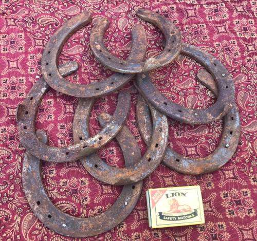 OLD HORSE SHOES