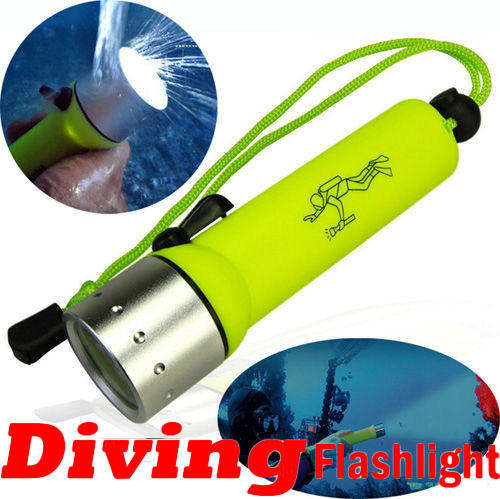 Professional Diving Flashlight 3W LED Torch - up to 30M Waterproof