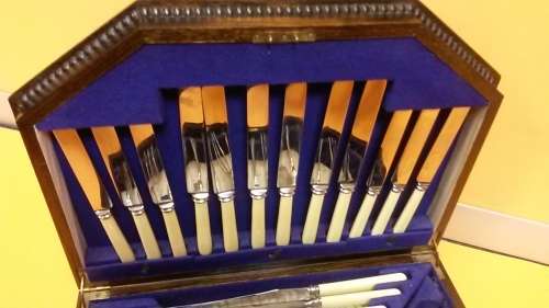 BONE HANDLE CUTLERY SET