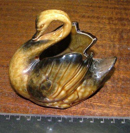 Swan