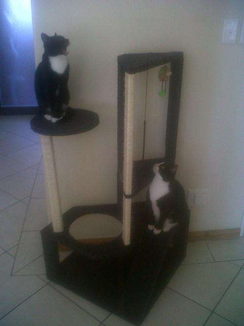 Save - The Cat That Has It All - Scratching Post, Cat Tree, Catnip, CatNipZ - 5 Storey Dual Towers