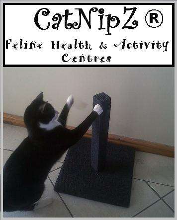InSaNe - SaVe RrRrR- CatNipZ - Sharp Cat Scratcher - NEW - By - GAMU DECOR & DESIGNS