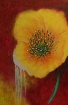 Poppy2