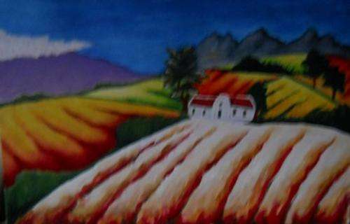 Winelands16