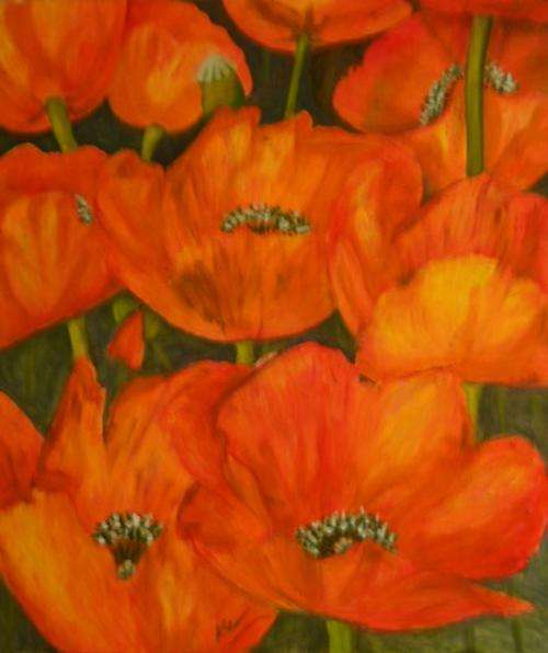 Mass Poppy3