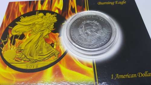 RARE BURNING EAGLE  1 AMERICAN SILVER DOLLAR