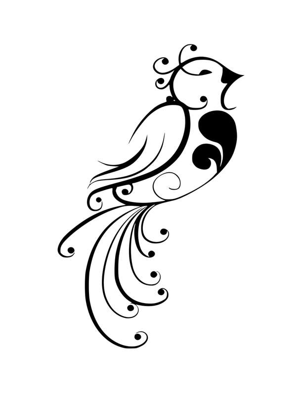 Vinyl Home Decor Wall Art - Bird Beauty - Black