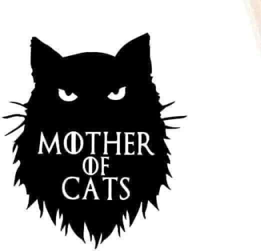 Decorative Sticker mix set - Cat