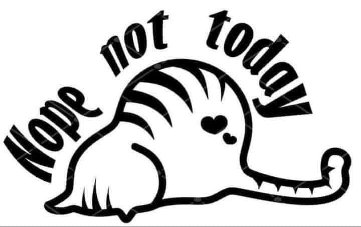 Decorative Sticker mix set - Cat
