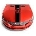 Decorative Bonnet Sticker: Punisher