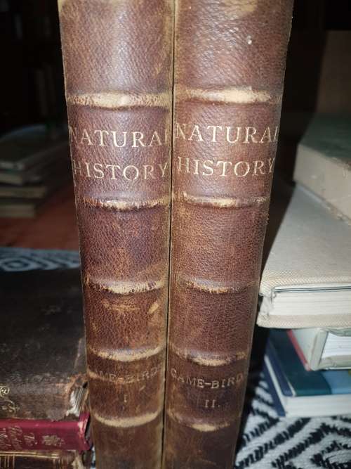 *1896/7* A Hand-book to the Game Birds, Complete in 2 Volumes
