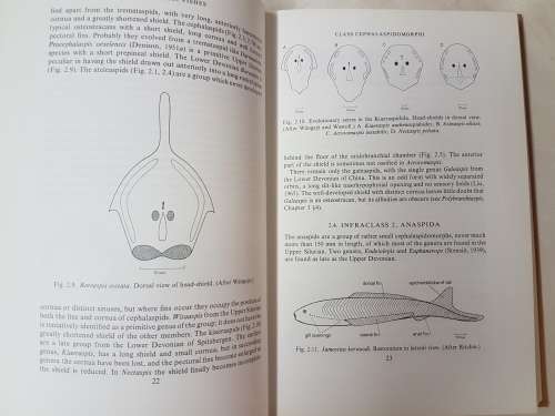 Palaeozoic Fishes - by J. A. Moy-Thomas Miles. "Dr J.W.A van Heerden's Museum Copy"