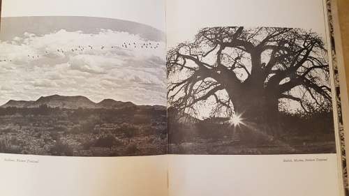 Limpopo by Walter Battiss. 1st Ed 1965.