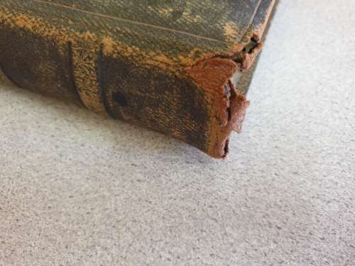 **RARE** Scenes and Life in the Transvaal. {1890}