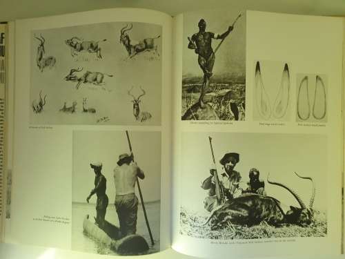 AFRICAN HUNTER - JAMES MELLON. 1st ED 1975.
