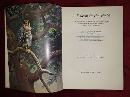 A FALCON IN THE FIELD.  By J.G. Mavrogordato