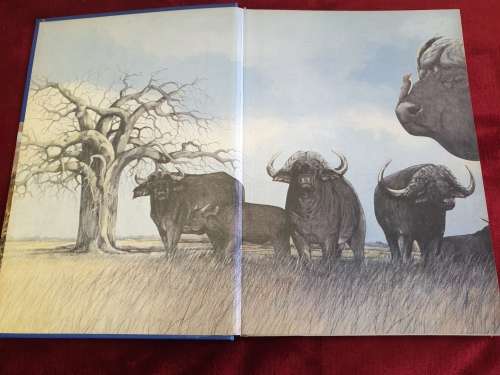 Hunting in Southern Africa - Ralf Robert Enderwitz