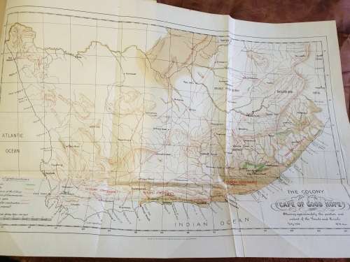 *1907* The Forest and Forest Flora of Cape Colony - Thomas R. Sim