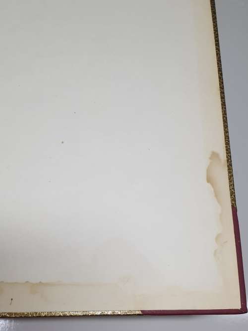*1907* The Forest and Forest Flora of Cape Colony - Thomas R. Sim