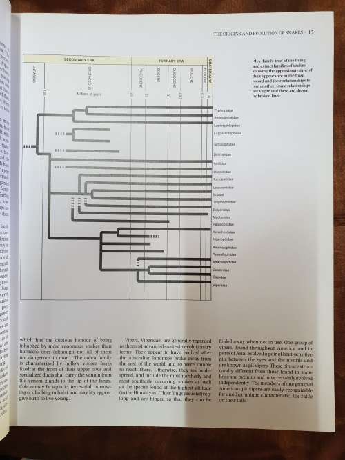 The Encyclopaedia of Snakes - Chris Mattison