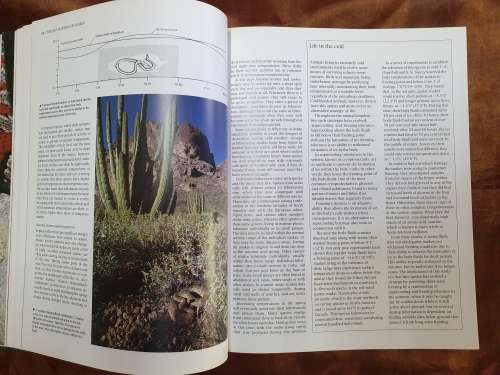 The Encyclopaedia of Snakes - Chris Mattison