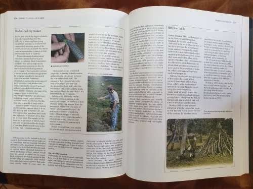 The Encyclopaedia of Snakes - Chris Mattison