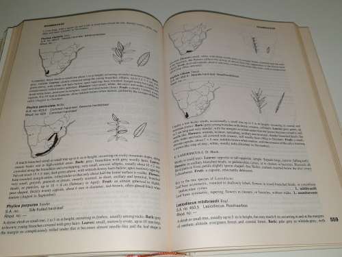 Trees of Southern Africa - Keith Coates Palgrave