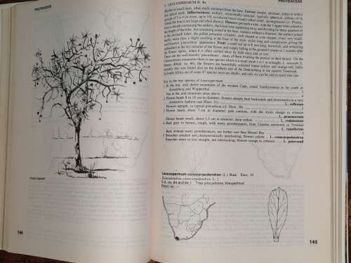 Trees of Southern Africa - Keith Coates Palgrave