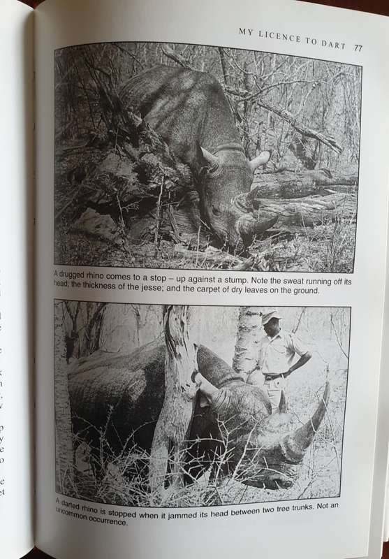 Mahohboh & Black Rhino. Both signed, Ron Thomson