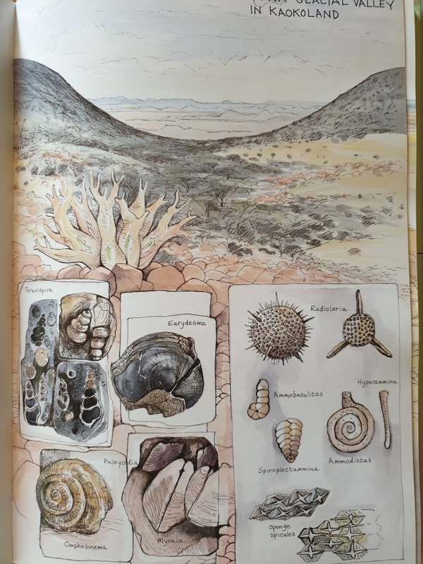 Passage through Time - The Fossils of Namibia