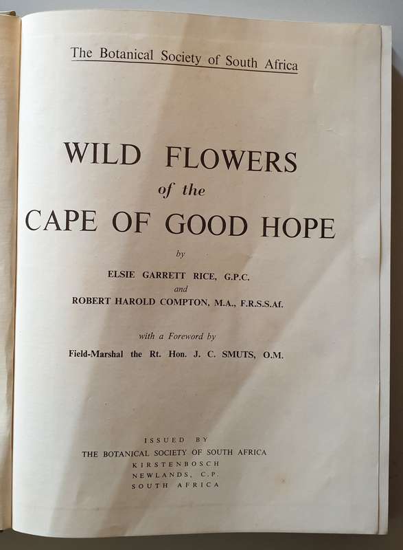 Wild Flowers of the Cape of Good Hope.