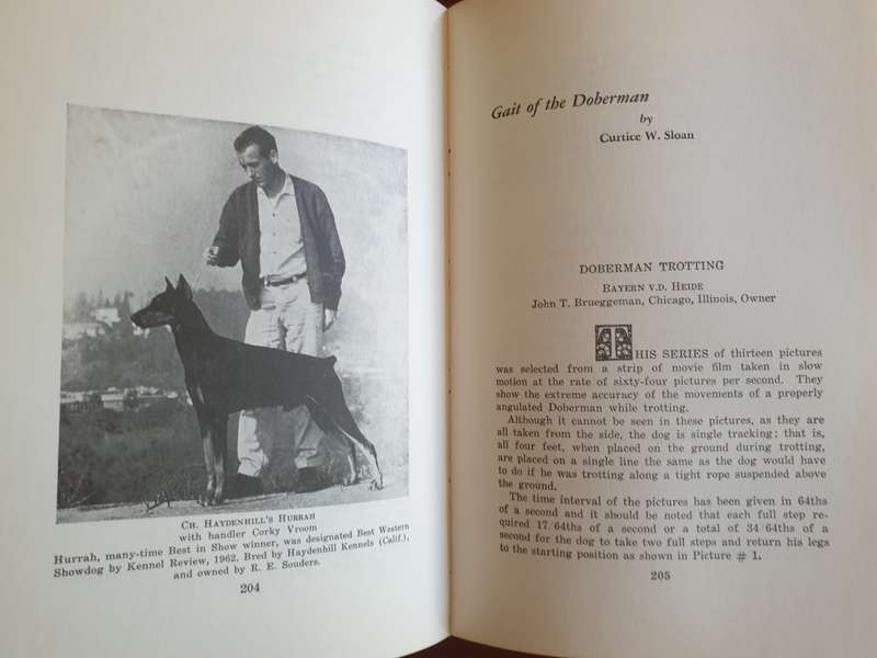 The Complete DOBERMAN PINSCHER