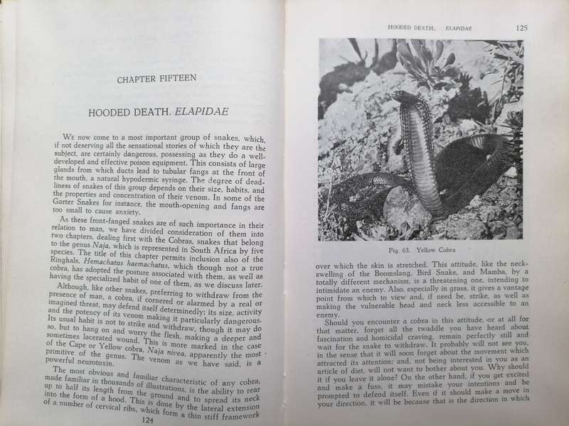 Snakes, - mainly South African. Walter Rose